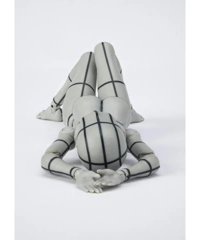 Bandai S.H.Figuarts Body-chan Kentaro Yabuki Wire Frame: Gray Color Ver. - Image 3